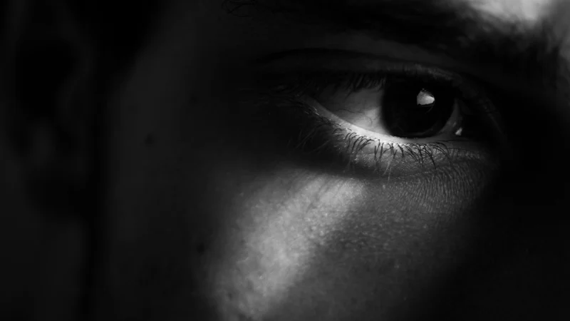 Schatten: The Power of Trust