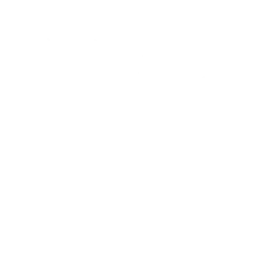 logo-white-transparent-background-akademie.annielauer.com