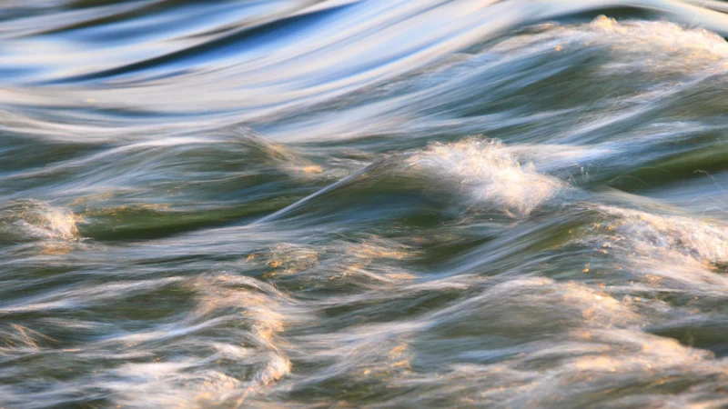 Fülle: The Power of Giving