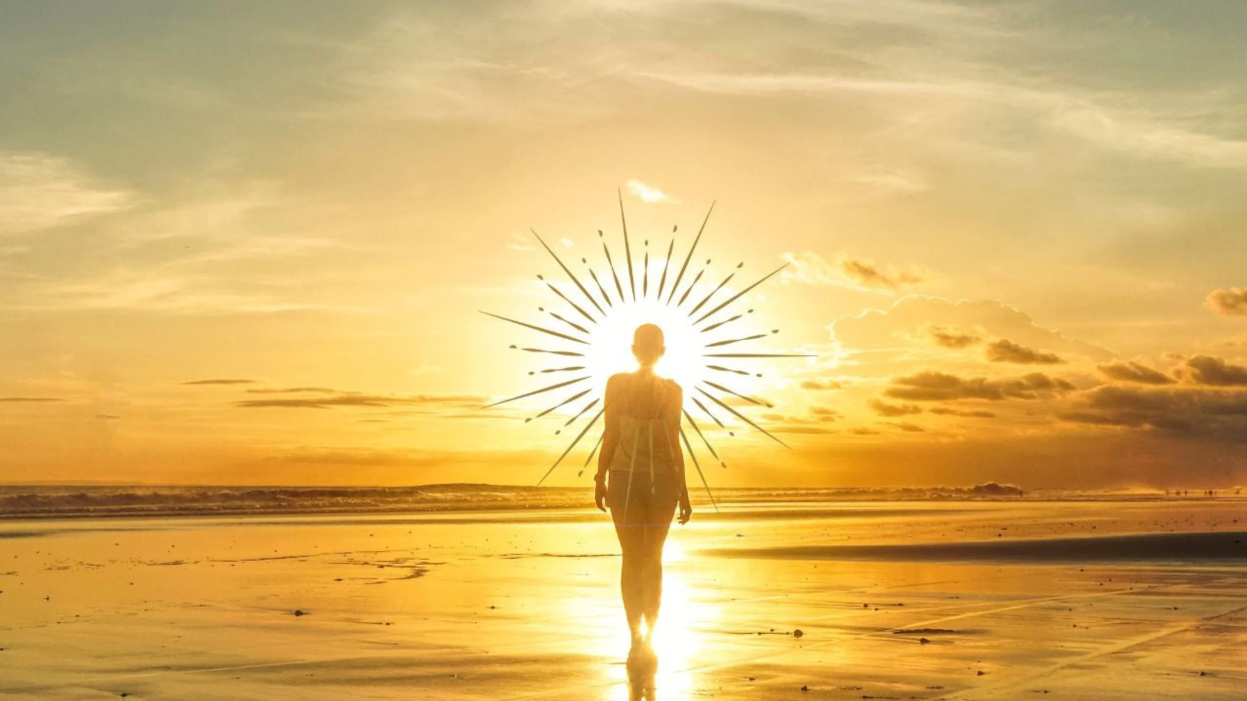 Alignment Coaching® Basis Training