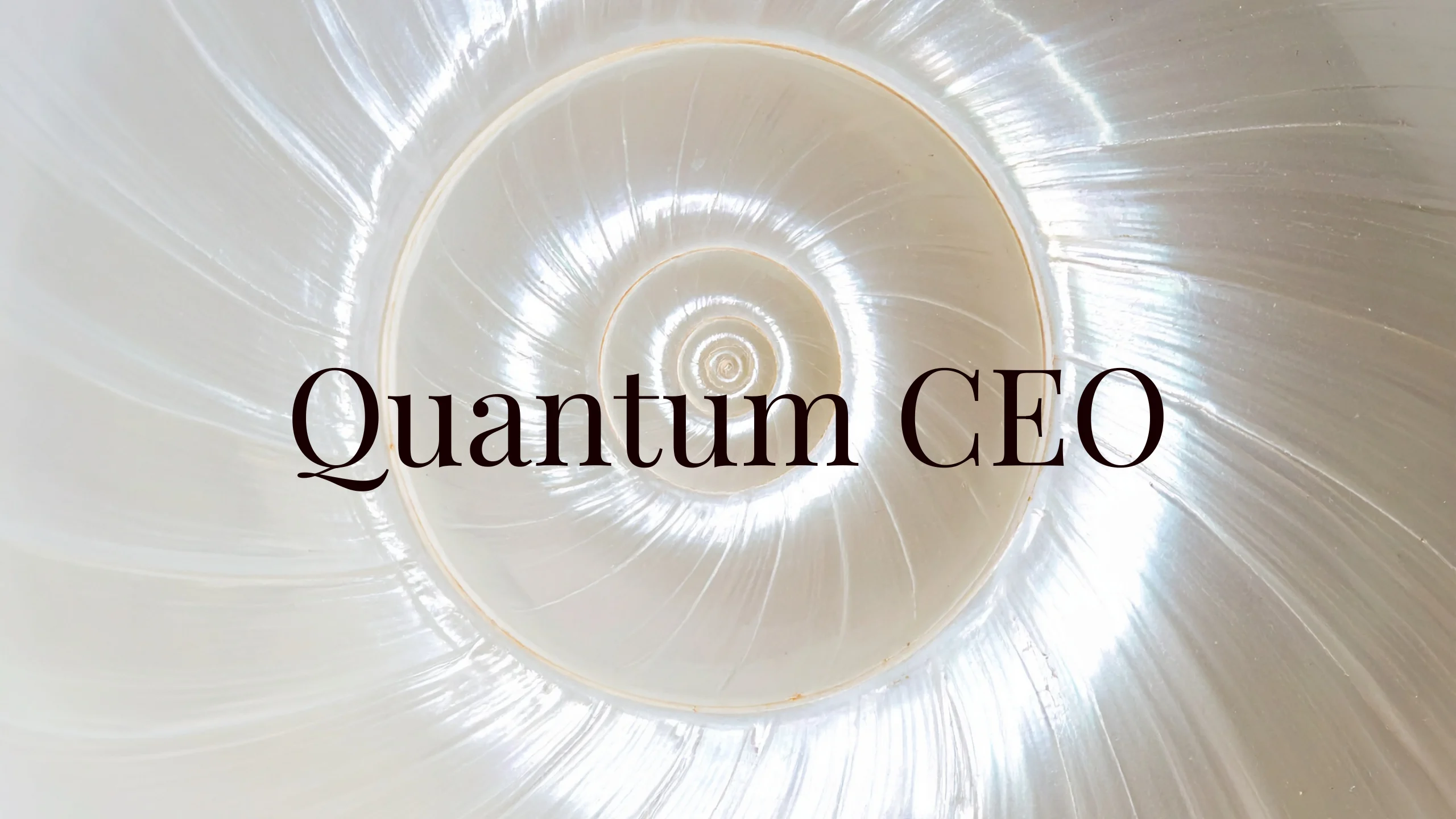 8.04 Quantum CEO